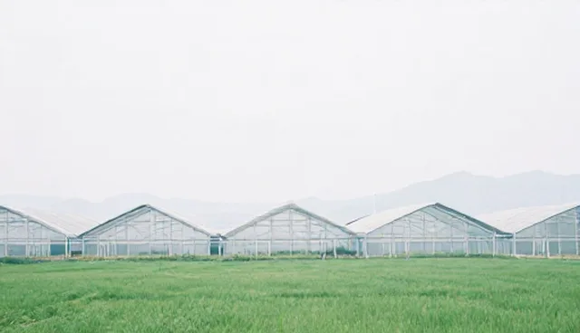 AI搜索优化进阶套餐适用场景与限制