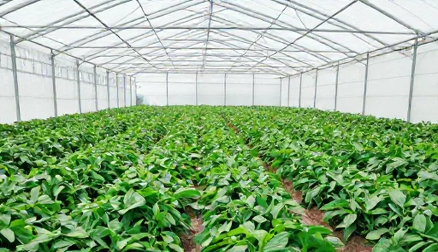 网站设计建设对优化排名的具体影响原因