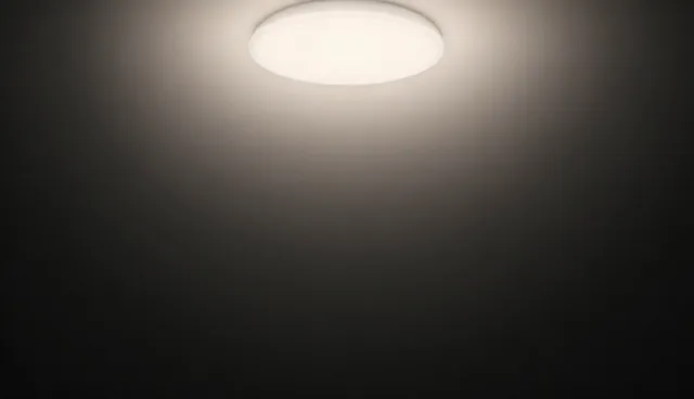 东莞个人网站制作的检查要点及内容质量提升