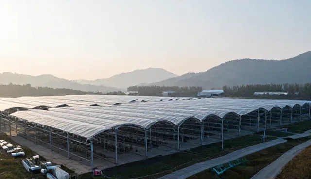 自主建站的使用条件与维护建议